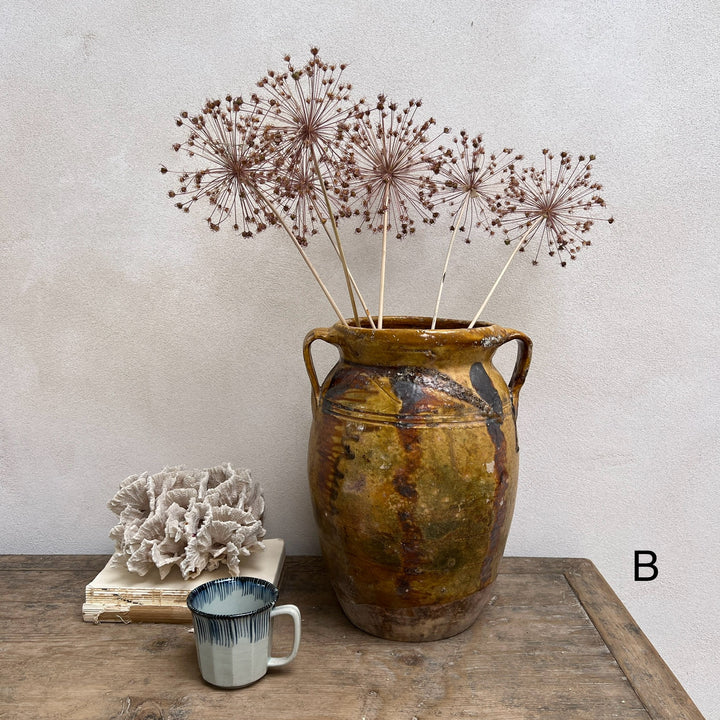Antique Mediterranean Urn Verona