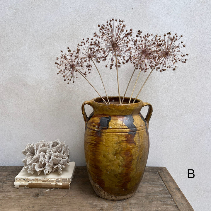 Antique Mediterranean Urn Verona