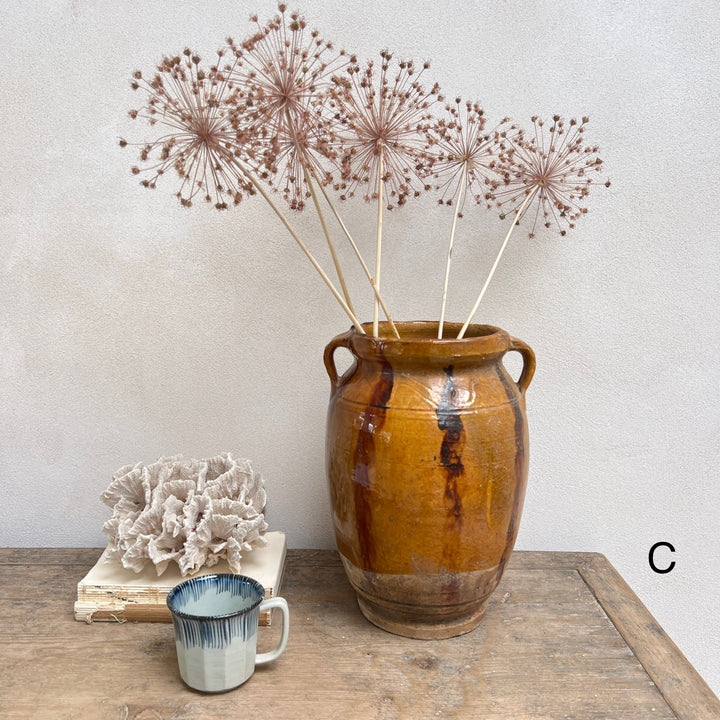 Antique Mediterranean Urn Verona
