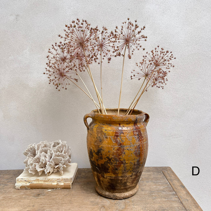 Antique Mediterranean Urn Verona