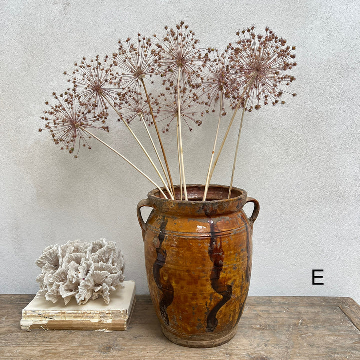 Antique Mediterranean Urn Verona