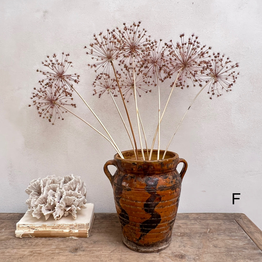 Antique Mediterranean Urn Verona