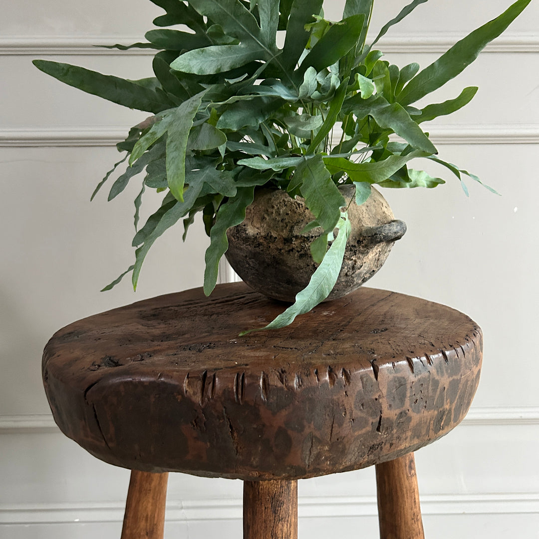Antique Round Side Table | Palomo