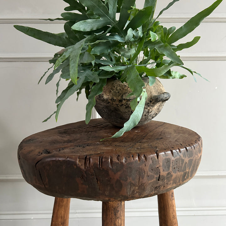 Antique Round Side Table | Palomo