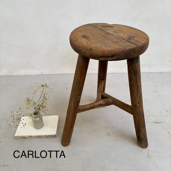Wooden stool with a small plant on a light gray floor and wall, branded 'CARLOTTA'.