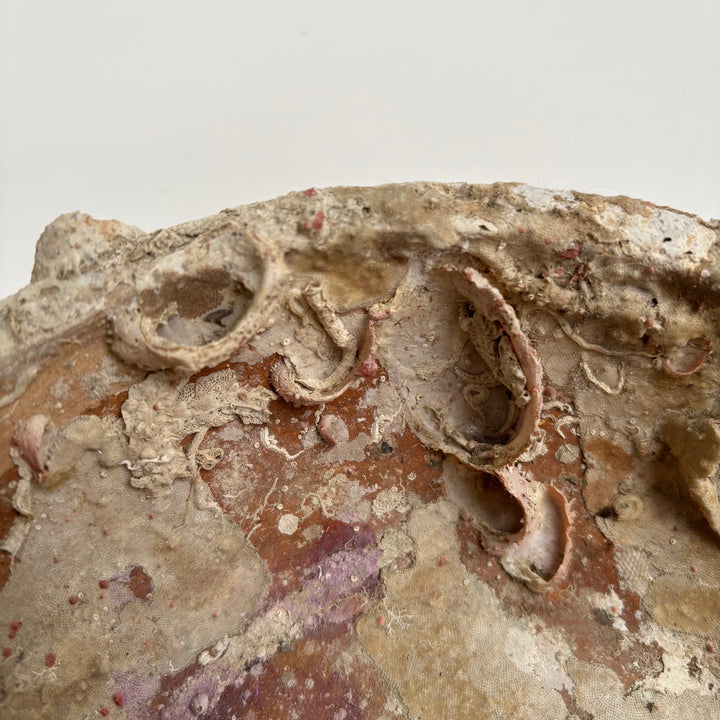 Antique Shipwreck Bowl 14th Century | Sawankhaloc A
