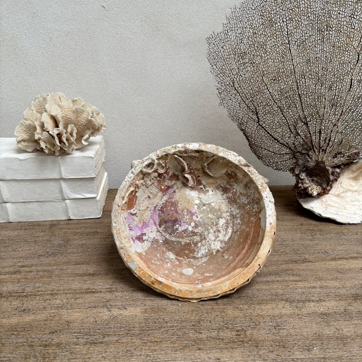Antique Shipwreck Bowl 14th Century | Sawankhaloc A 