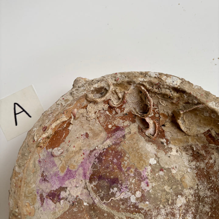 Antique Shipwreck Bowl 14th Century | Sawankhaloc A