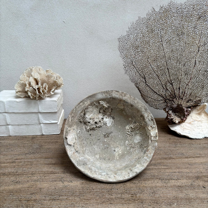 Antique Shipwreck Bowl 14th Century | Sawankhaloc B
