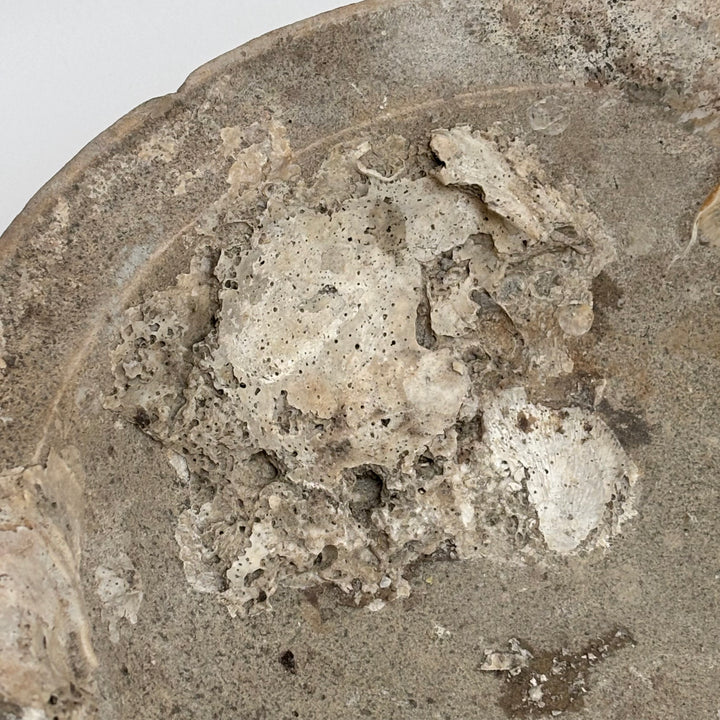 Antique Shipwreck Bowl 14th Century | Sawankhaloc B