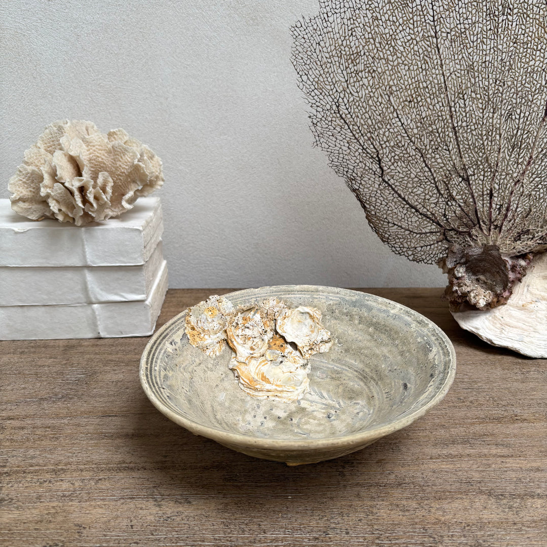 Antique Shipwreck Bowl 14th Century | Sawankhaloc C