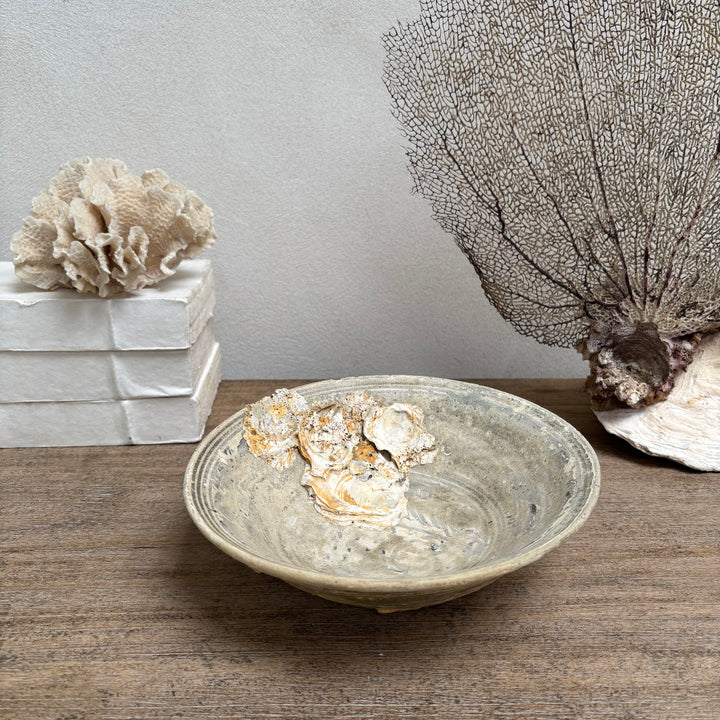 Antique Shipwreck Bowl 14th Century | Sawankhaloc C