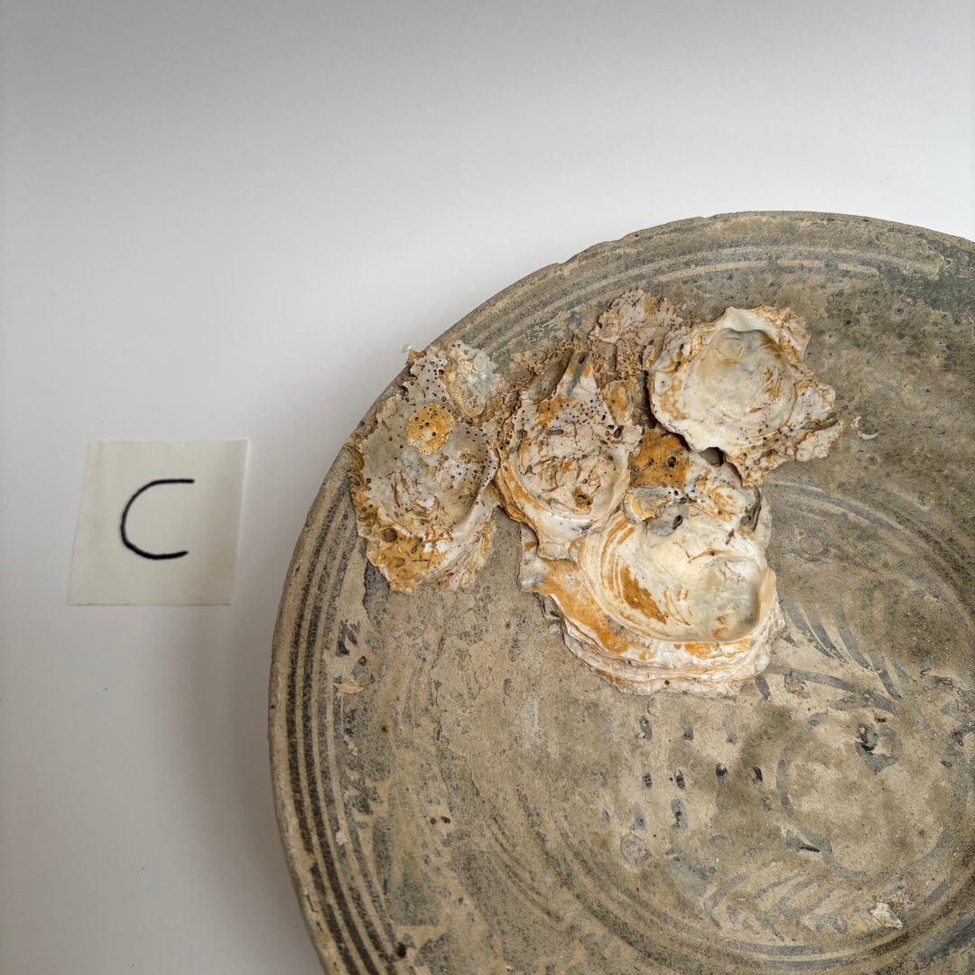 Antique Shipwreck Bowl 14th Century | Sawankhaloc C
