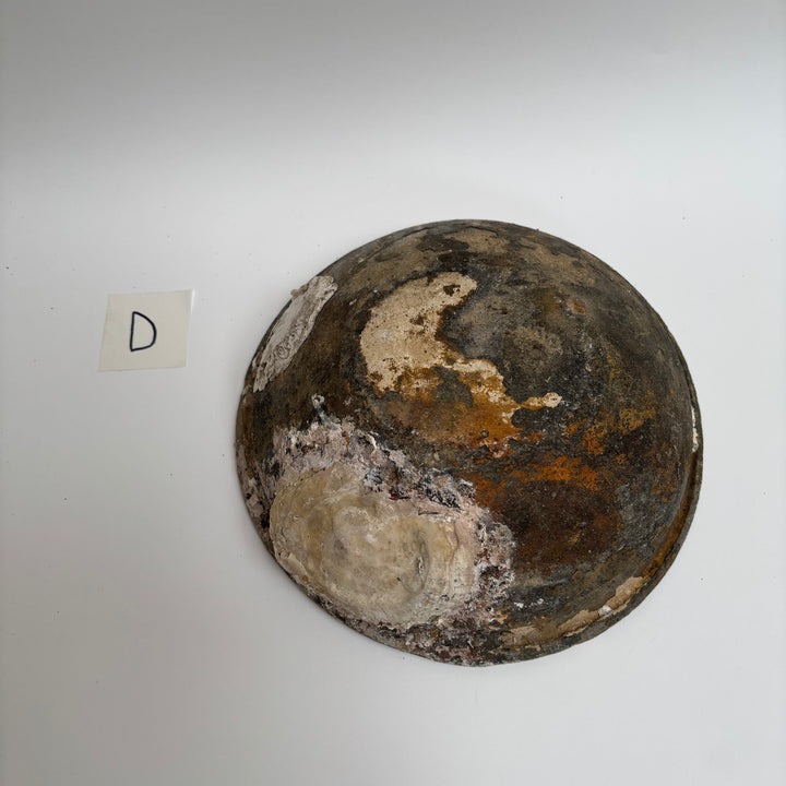Antique Shipwreck Bowl 14th Century | Sawankhaloc D