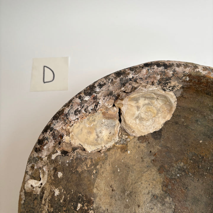 Antique Shipwreck Bowl 14th Century | Sawankhaloc D