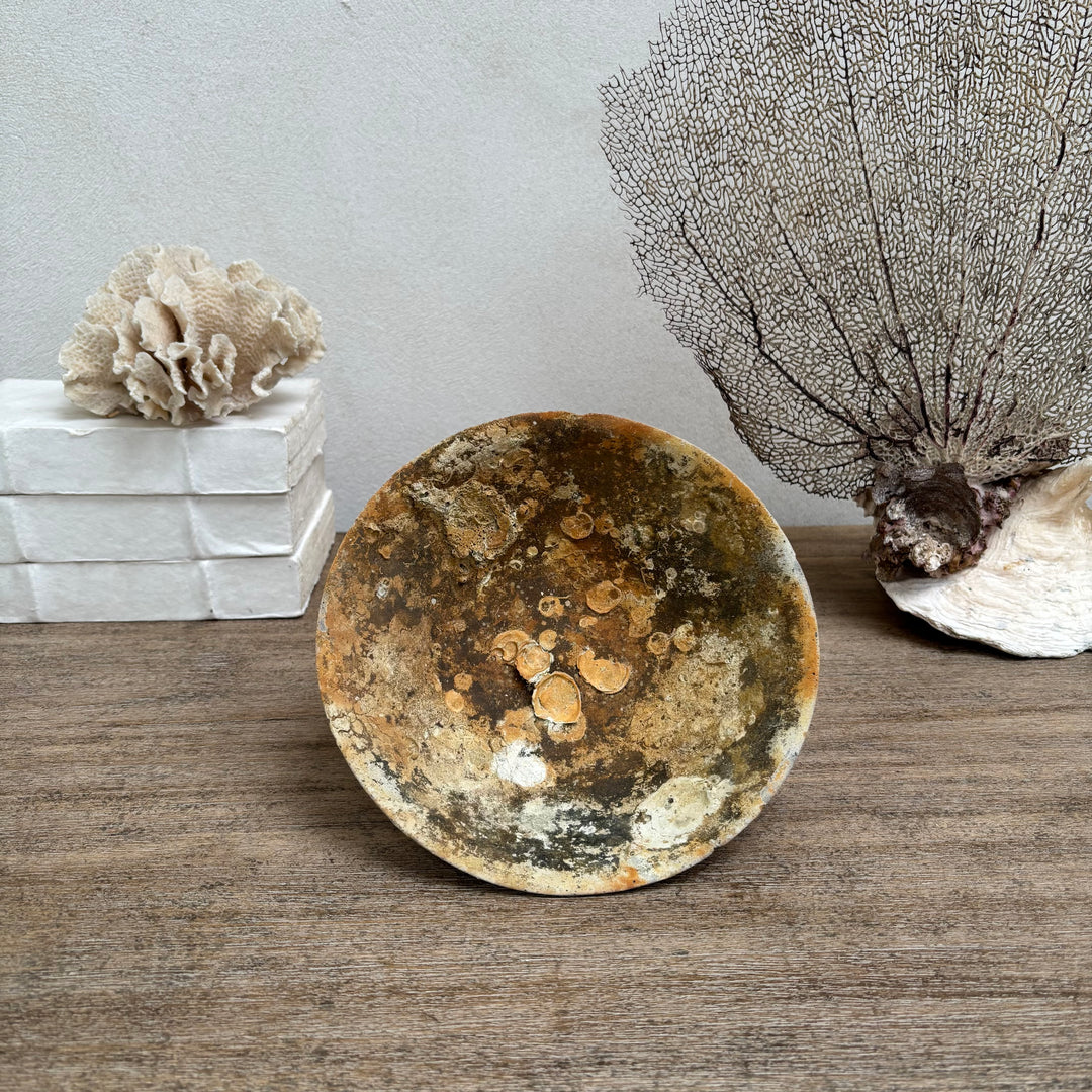 Antique Shipwreck Bowl 14th Century | Sawankhaloc E