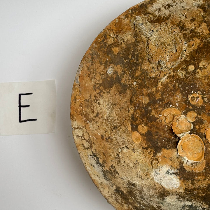 Antique Shipwreck Bowl 14th Century | Sawankhaloc E