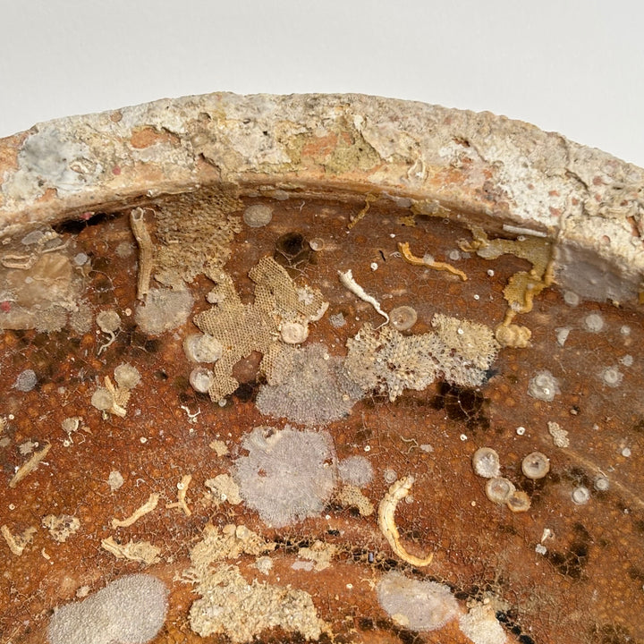 Antique Shipwreck Bowl 14th Century | Sawankhaloc F