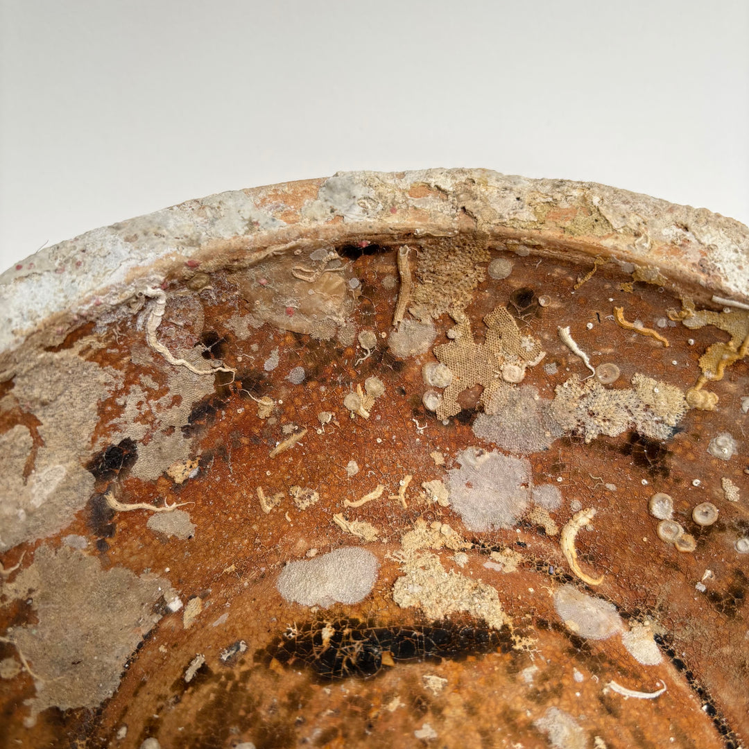 Antique Shipwreck Bowl 14th Century | Sawankhaloc F