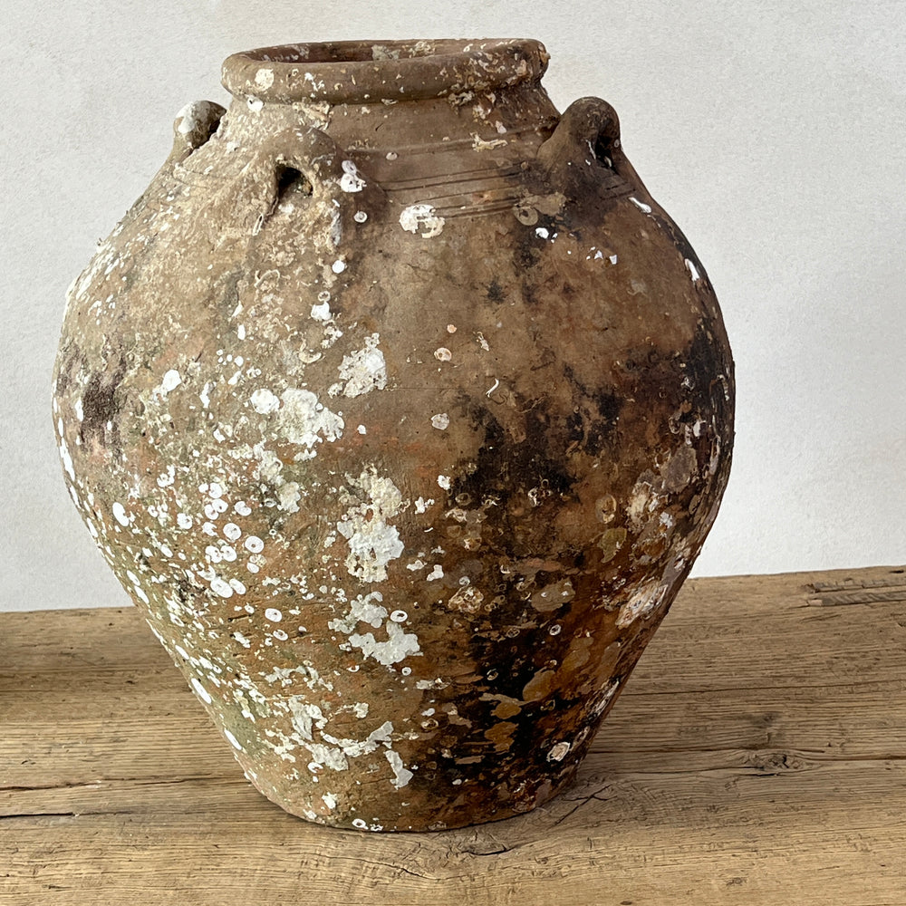 Antique Shipwreck Storage Jar | Singburi 8720912