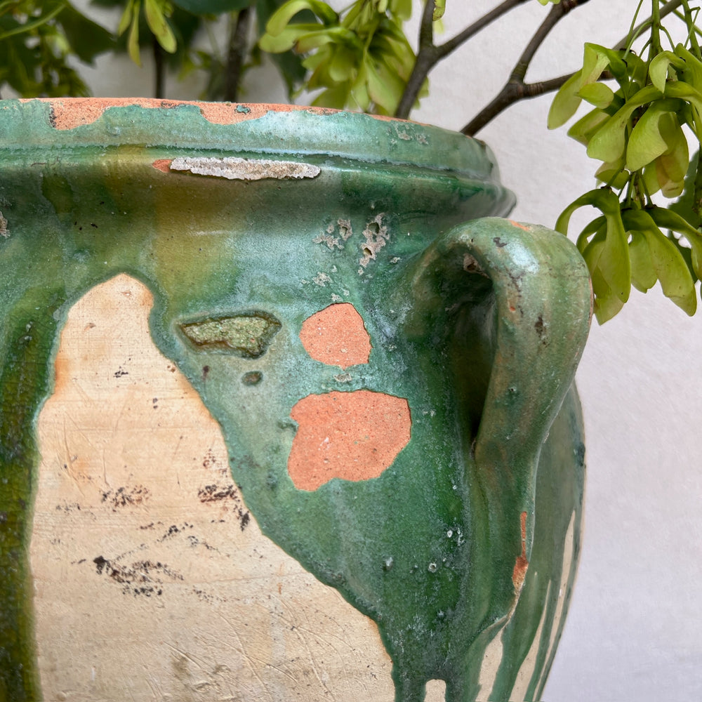 Antique Spanish Olive Urn Medium | A