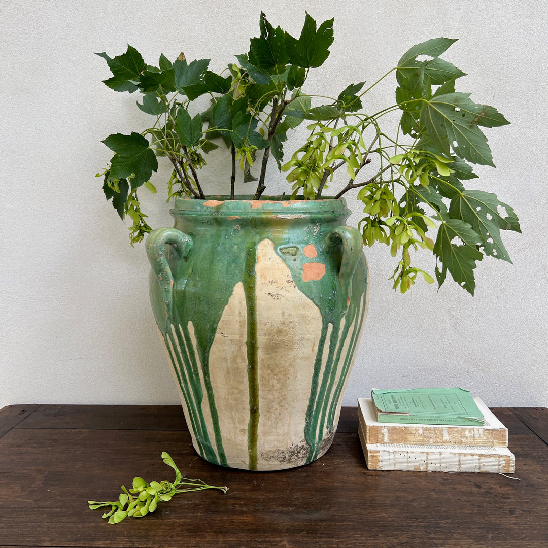 Antique Spanish Olive Urn Medium | A