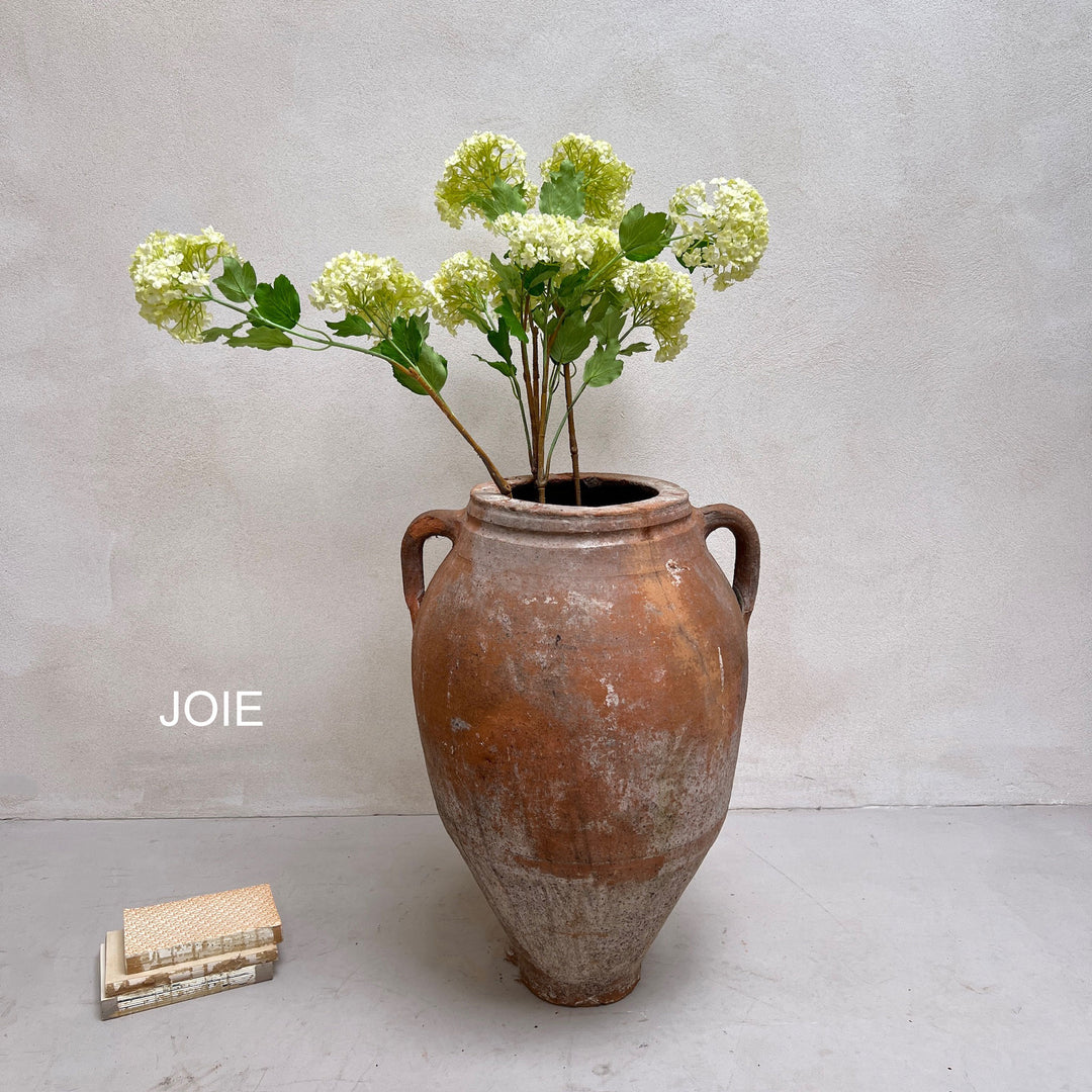 Antique Terracotta Urns with handles Joie