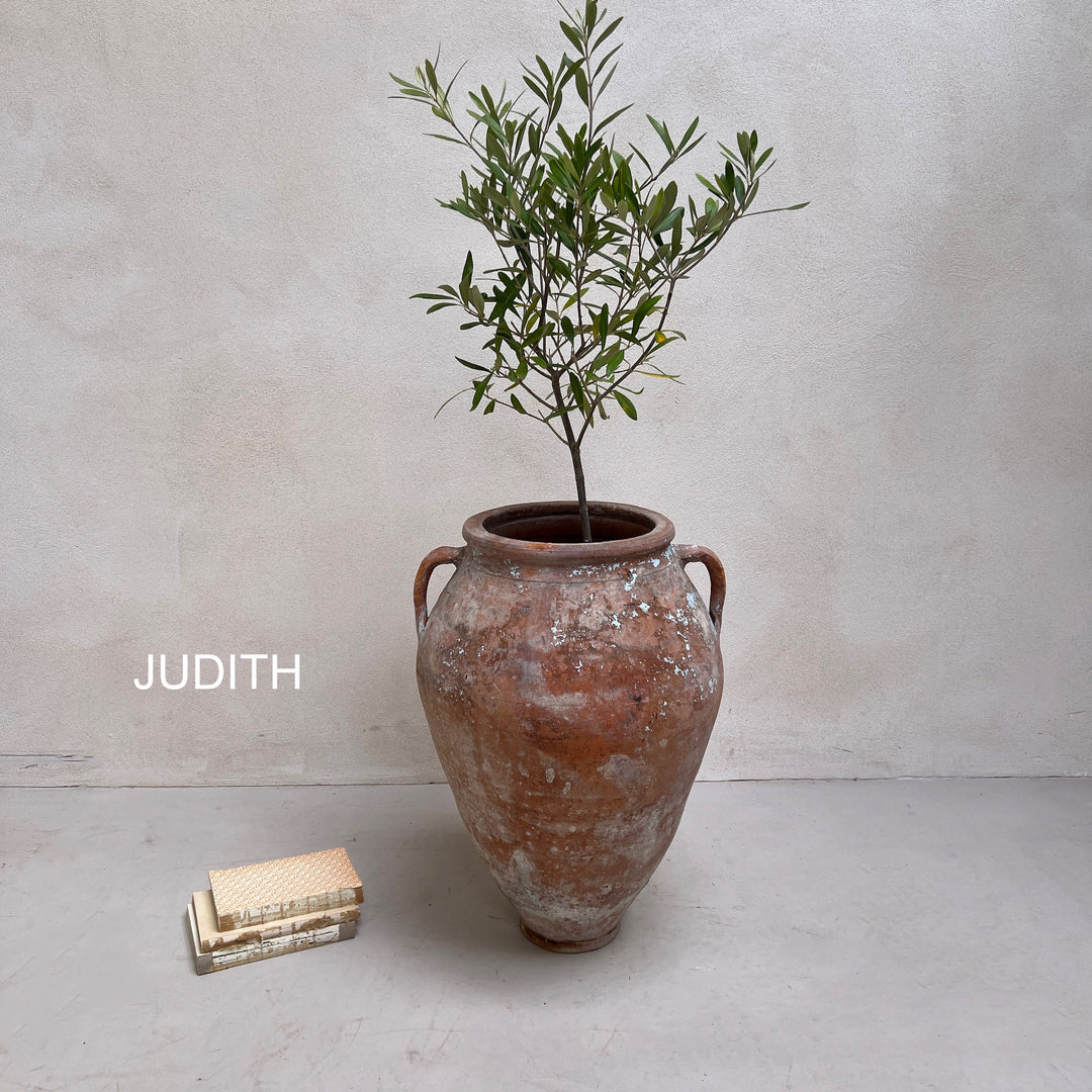 Antique Terracotta Urns with handles Judith