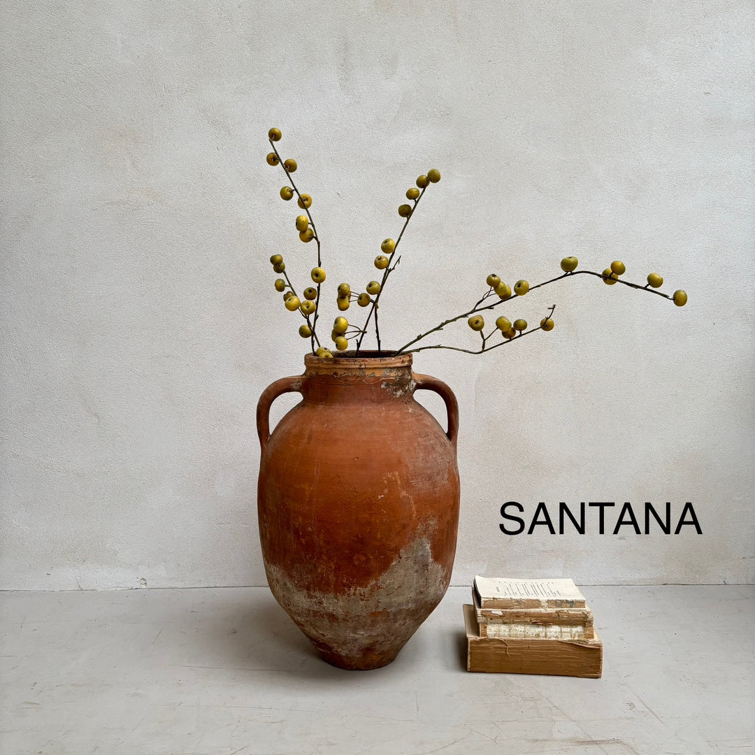 Antique Terracotta Urns with handles