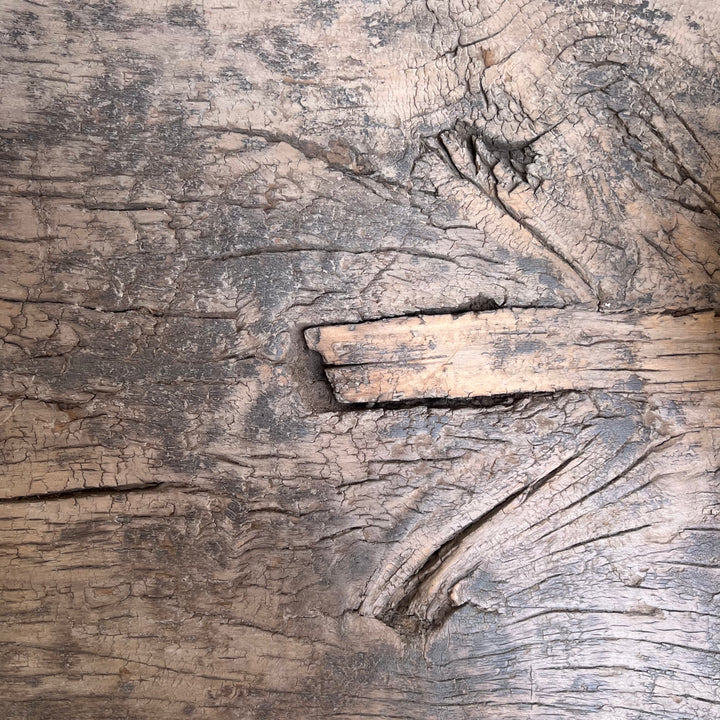 Close-up of weathered wood grain with cracked, textured bark-like surface in gray, brown, and beige tones.
