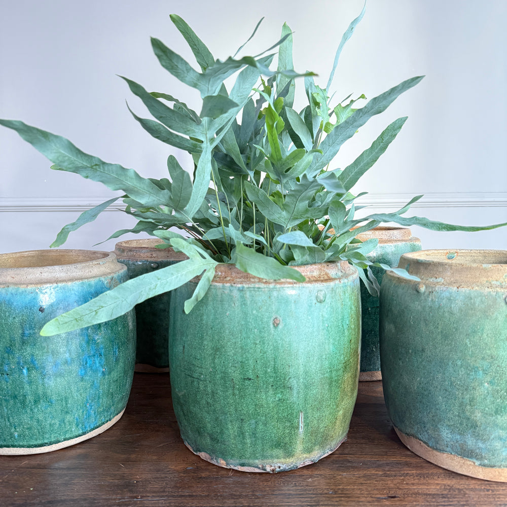 Antique jade coloured rice pot Small