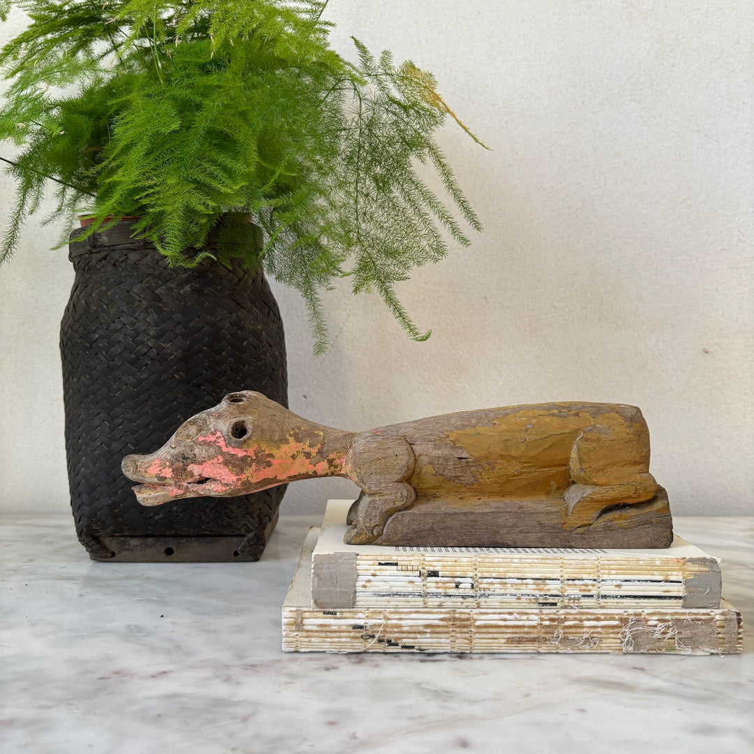 Antique primitive animal | Lizard