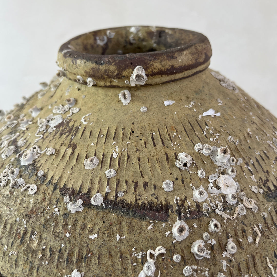 Antique rice wine urn from shipwreck | CH1