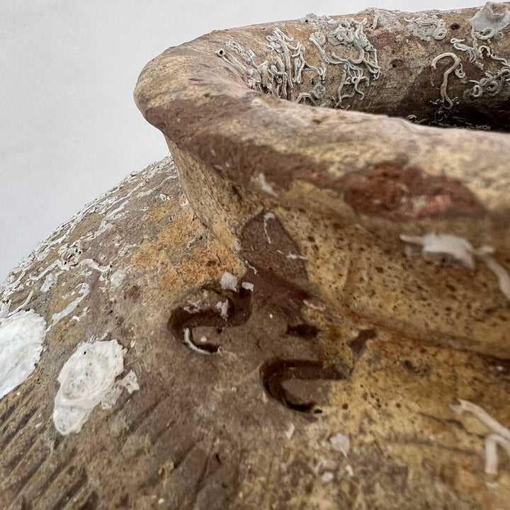 Antique rice wine urn from shipwreck | CH3