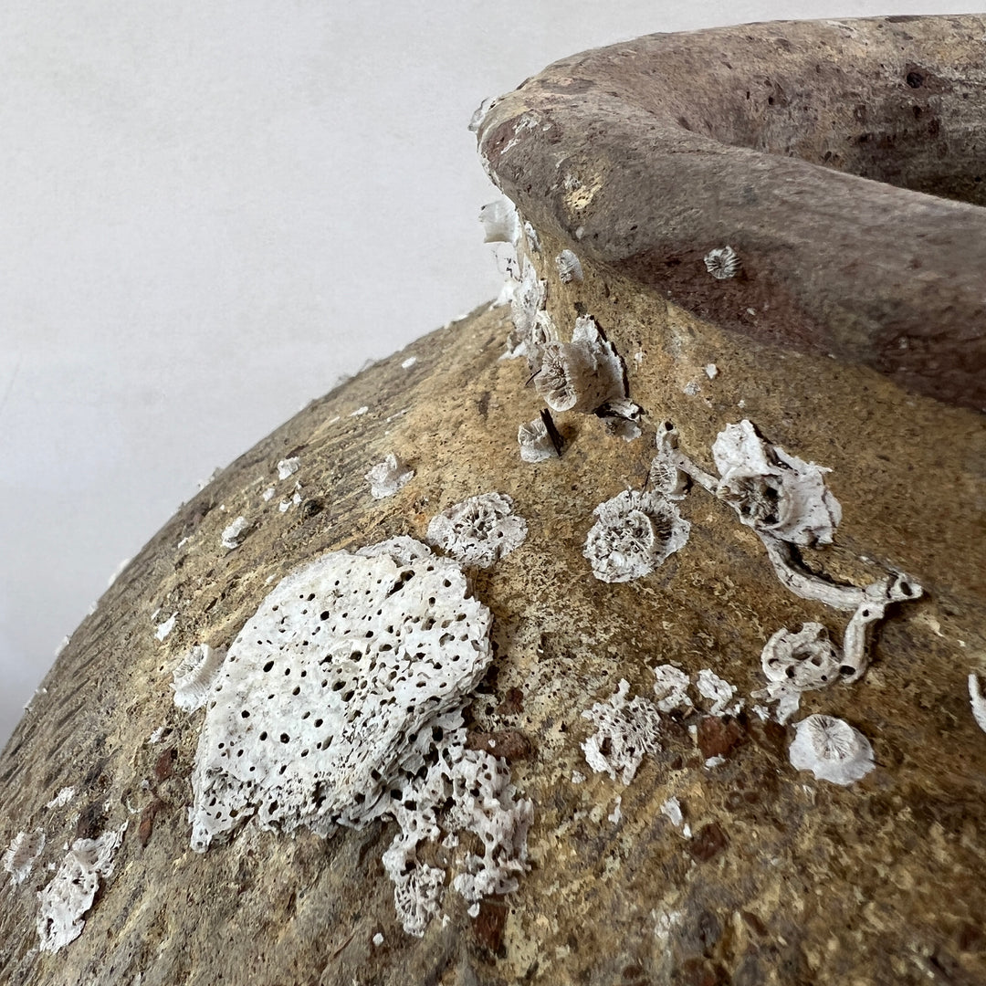 Antique rice wine urn from shipwreck | CH3