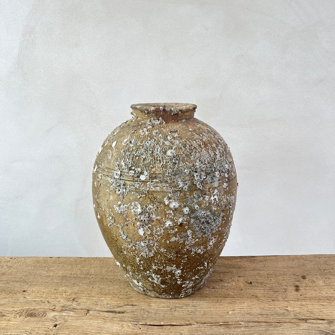 Antique rice wine urn from shipwreck | CH3
