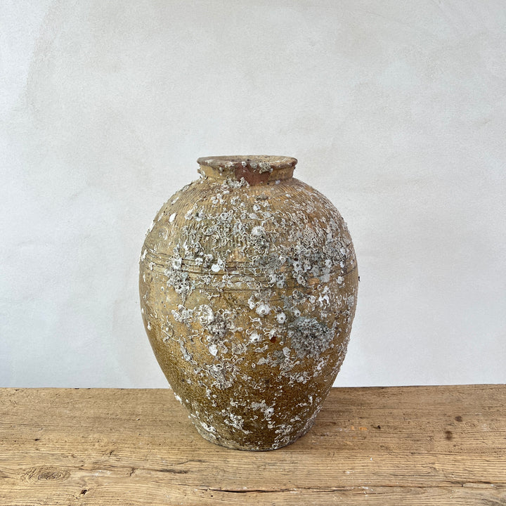 Antique rice wine urn from shipwreck | CH3