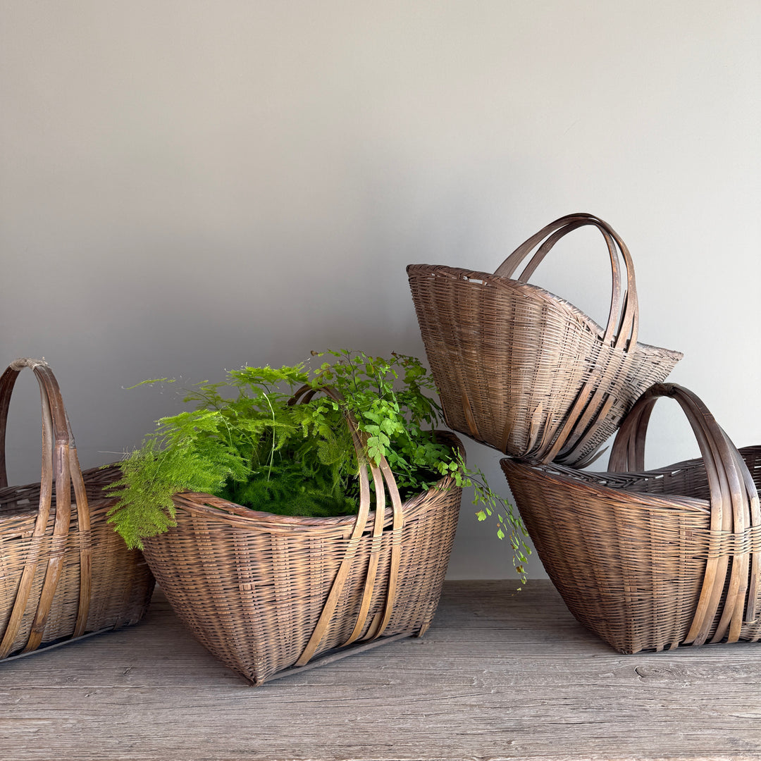 Wicker planters with green plants on a wooden surface against a gray wall