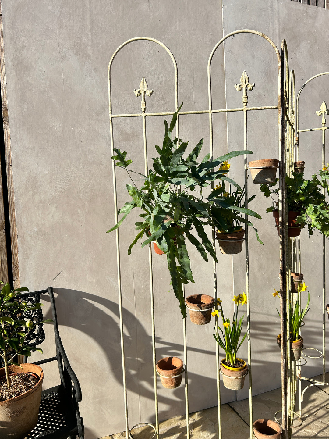 Antique victorian cast iron plant stand | Florence