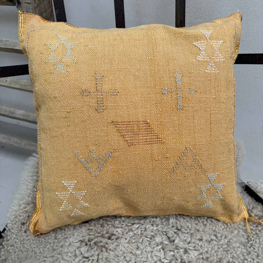 Moroccan Cactus Silk Cushion