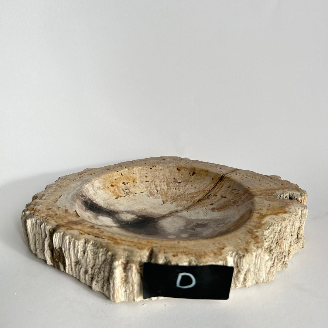 Petrified Wood stone Bowls