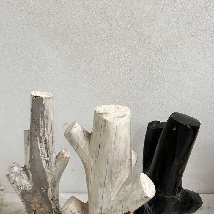 Petrified wood tree branch sculpture | Sari