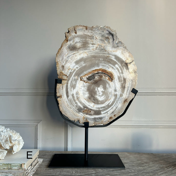 Petrified Wood on Stand