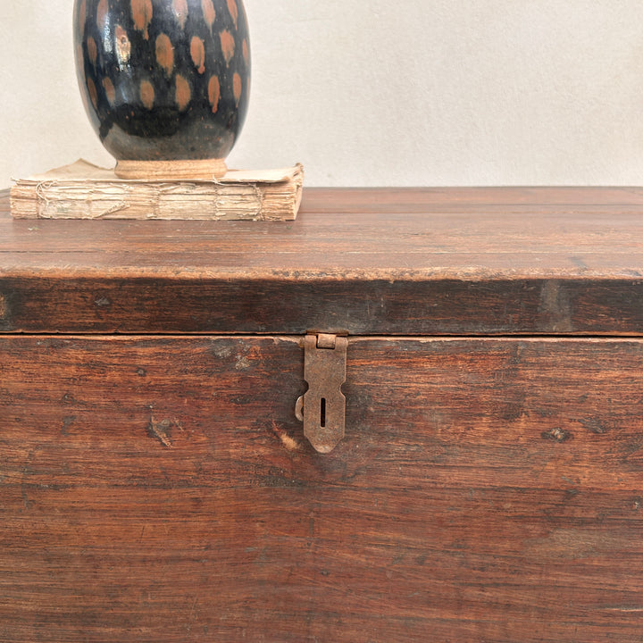 Antique Dark Wood Storage Chest | Jude