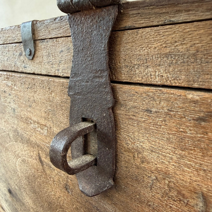 Antique Indian Elm Storage Box | Nina
