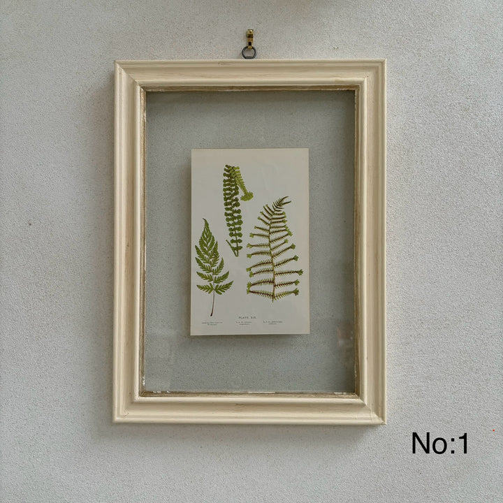 Antique White Framed Fern Print | Botany