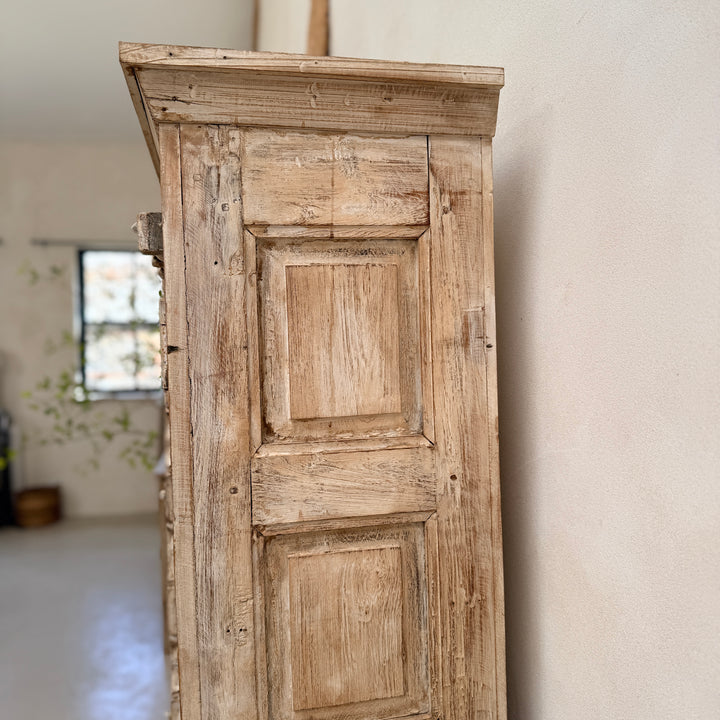 Salvaged Indian Antique Door Cupboard Rena