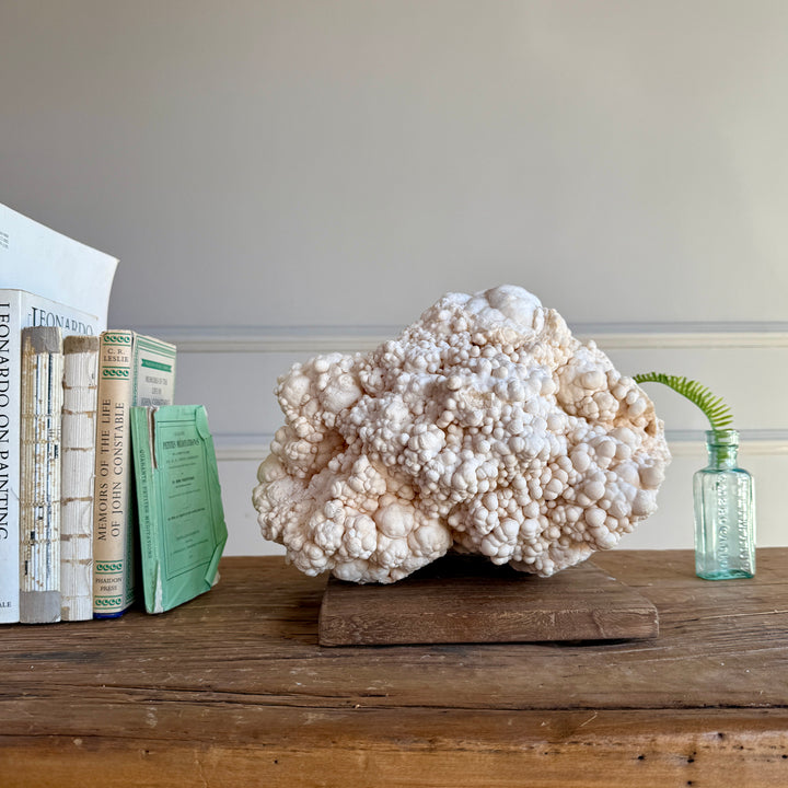 Rare Cave Stalactite Rock Formation