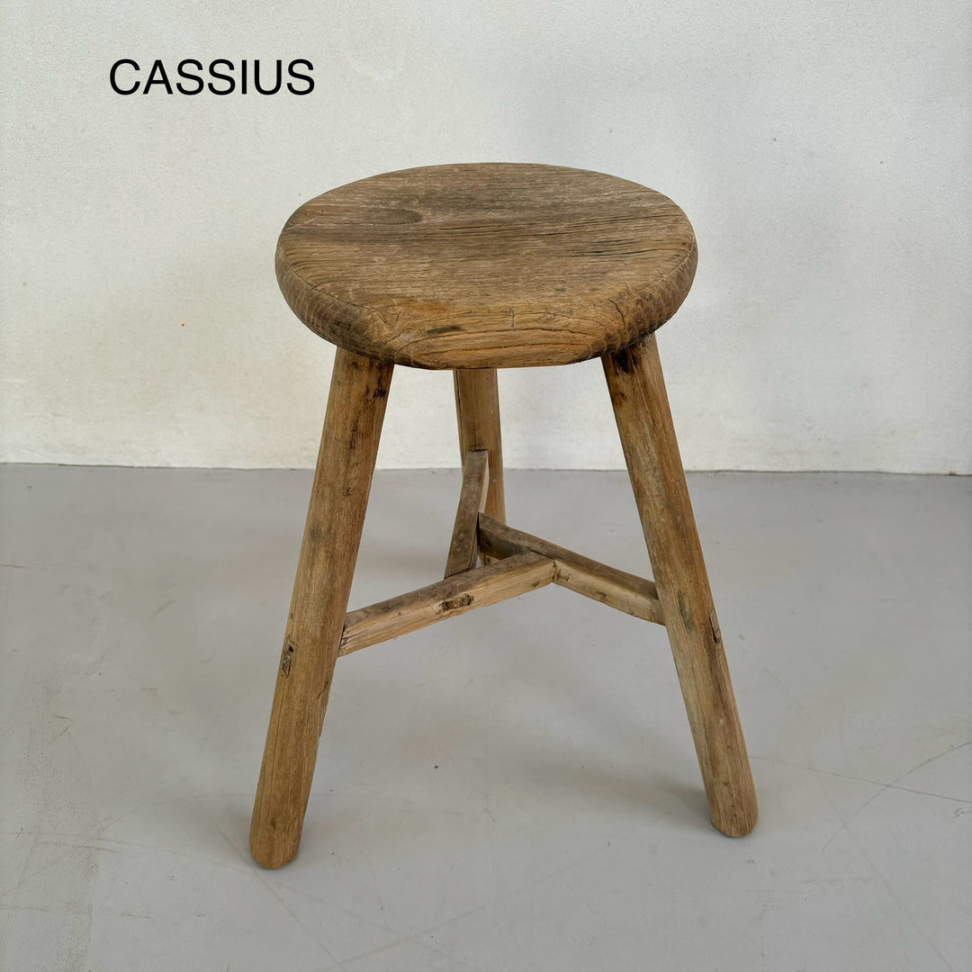 CASSIUS