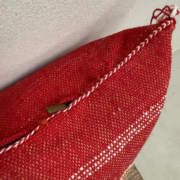 Moroccan Cactus Silk Cushion
